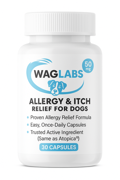 Cyclosporine Chewable Tablet (WagLabs™) 5x Bottles